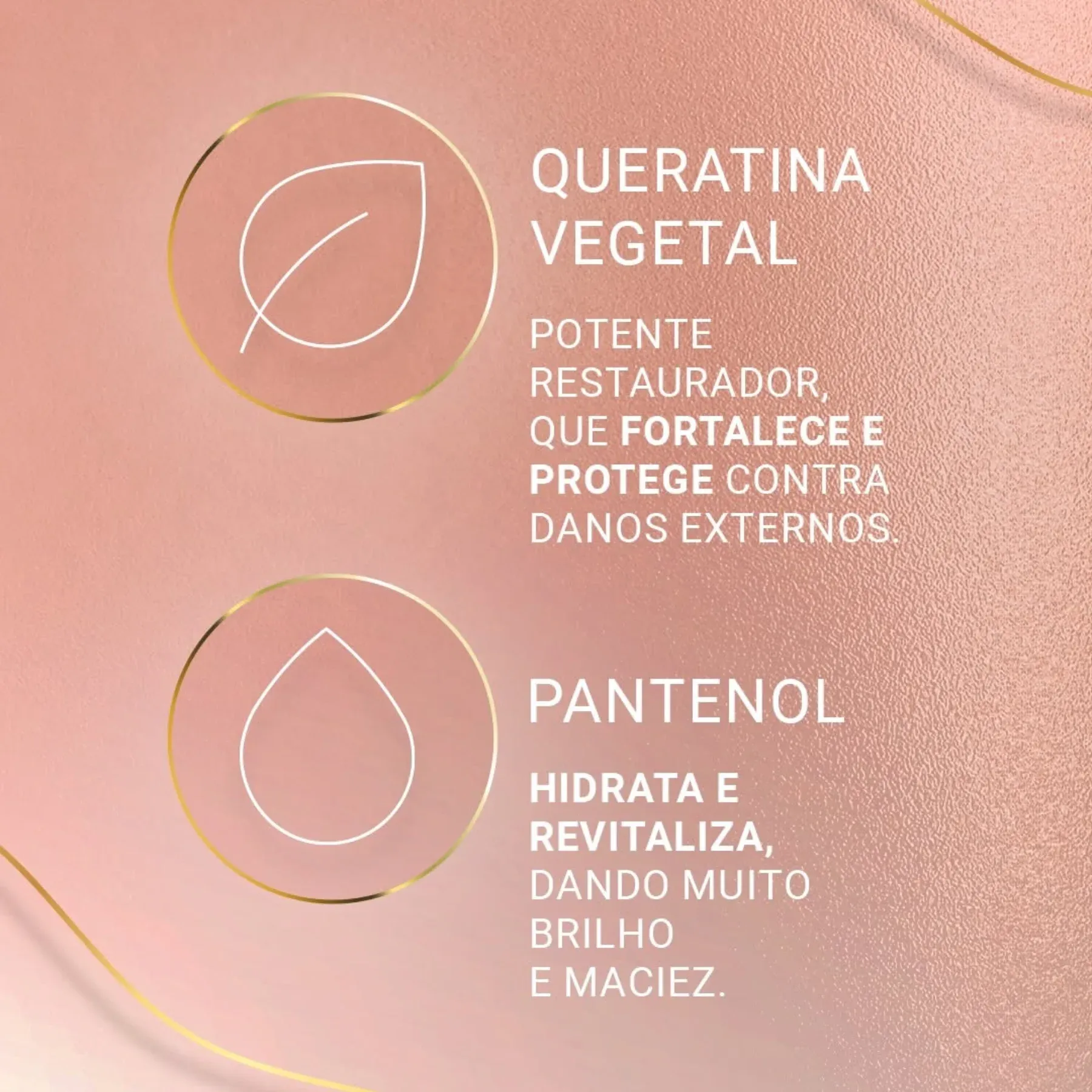 EICO DESLISA -2-